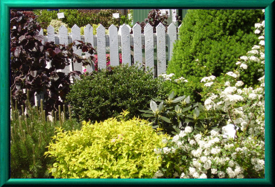 mays_greenhouse059002.jpg