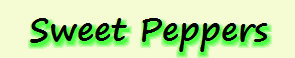 mays_greenhouse292008.jpg